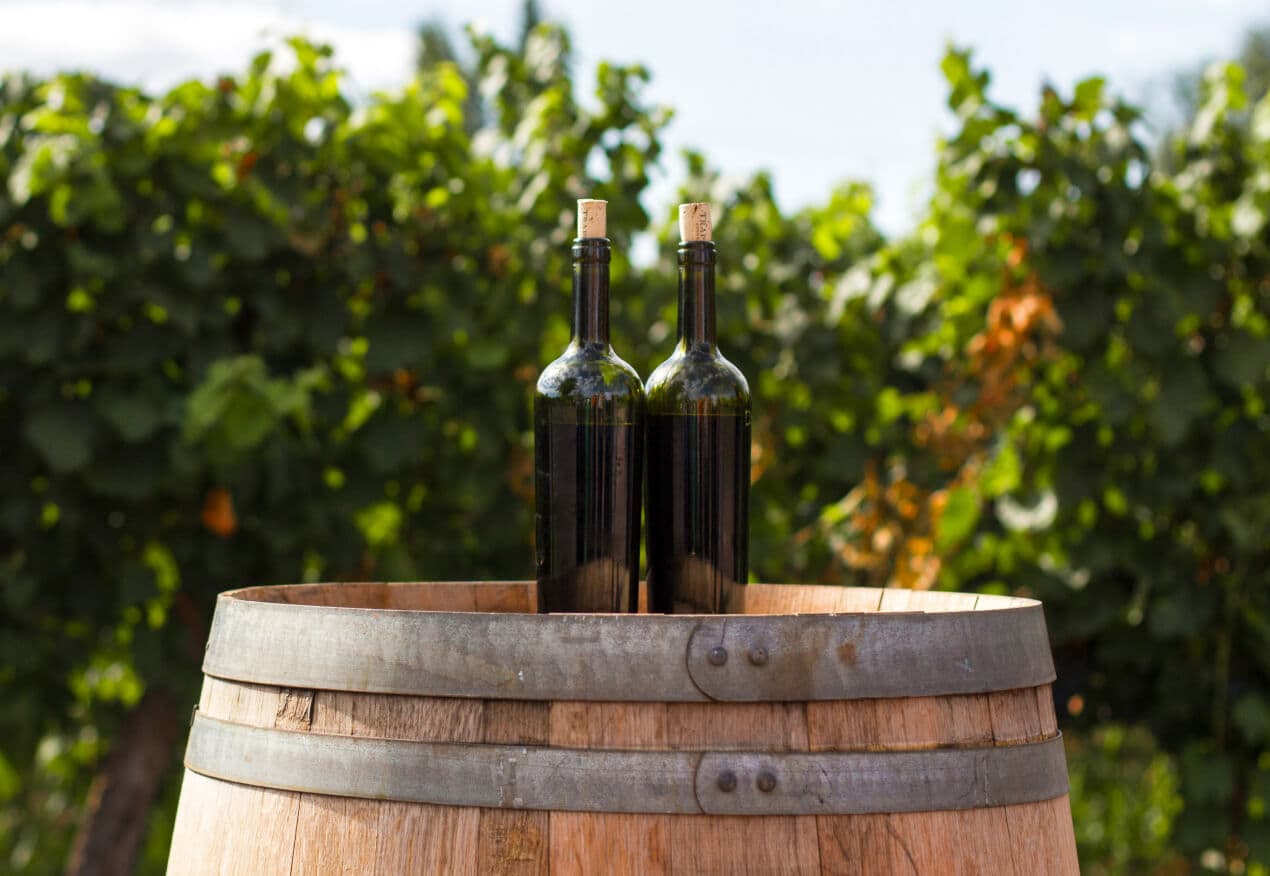 Wine bottles on a barrel in the vineyard