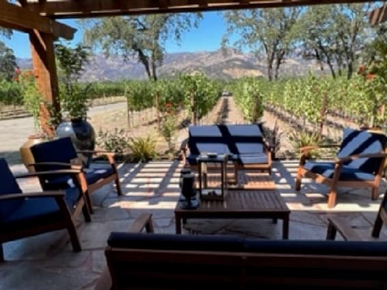 Guest house patio with vineyard and Palisades mountain views