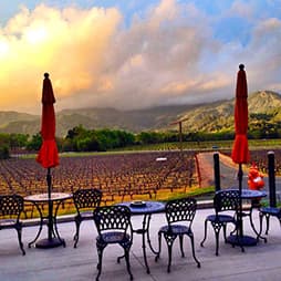 Sunset view from the Joseph Cellars terrace